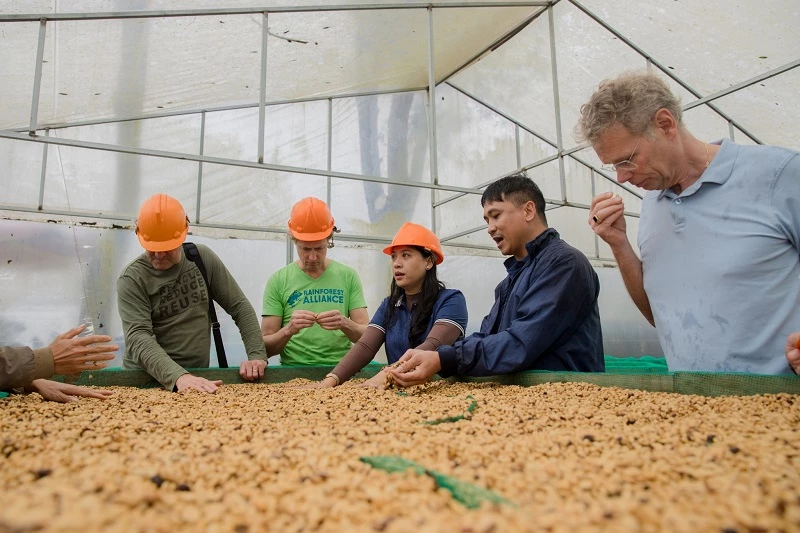 Chất lượng cà phê Việt Nam ngày càng được thế giới đánh giá cao.