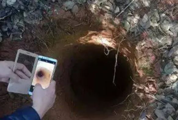 Mất lợn một cách khó hiểu, lão nông báo cảnh sát khi phát hiện chiếc hố bí ẩn