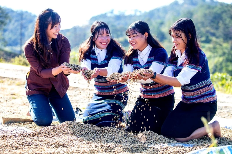 Nâng niu những hạt cà phê đặc sản kết tinh kỳ diệu từ đất lành. Nâng niu những hạt cà phê đặc sản kết tinh kỳ diệu từ đất lành.