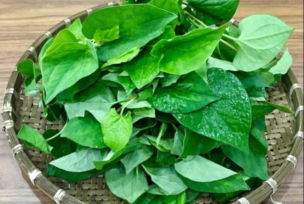 4 loại thực phẩm bán rẻ bèo ở Việt Nam nhưng được xem là 'thần dược' giúp chống viêm, ngừa ung thư hiệu quả