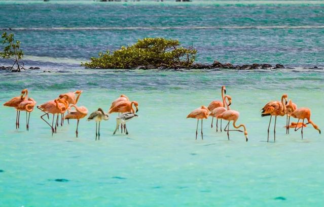 Hòn đảo "bí mật của thế giới" mang sức hút kỳ lạ khiến khách du lịch xiêu lòng ngay lần đầu đặt chân đến