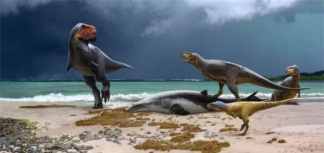 Morocco: Phát hiện hai loài khủng long bạo chúa hoàn toàn mới - Ảnh 1. Phát hiện hai loài khủng long bạo chúa hoàn toàn mới ảnh 1