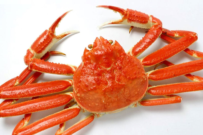 Thơm và ngọt hơn cả cua Hoàng đế: Cua tuyết Na Uy chuẩn phải đáp ứng một loạt tiêu chí khắt khe này