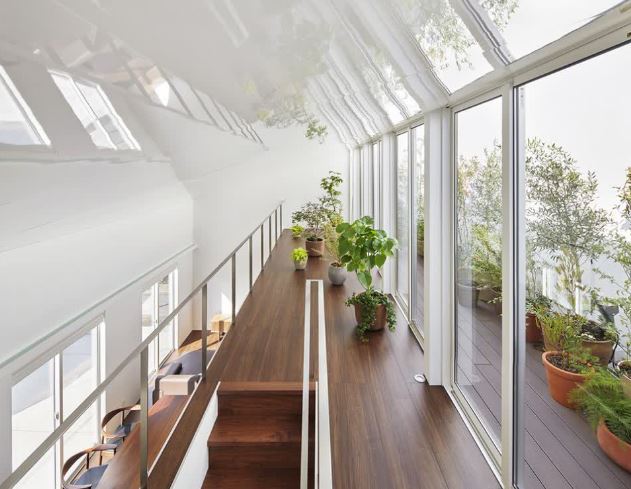 10 vị trí trong nhà nên bố trí cây cảnh để có thêm tài lộc