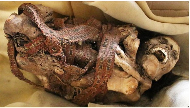 Đi làm từ tờ mờ sáng, bác lao công "đứng tim" phát hiện thi thể người há miệng cười trong tư thế kỳ lạ, cảnh sát đến điều tra mới vỡ lẽ