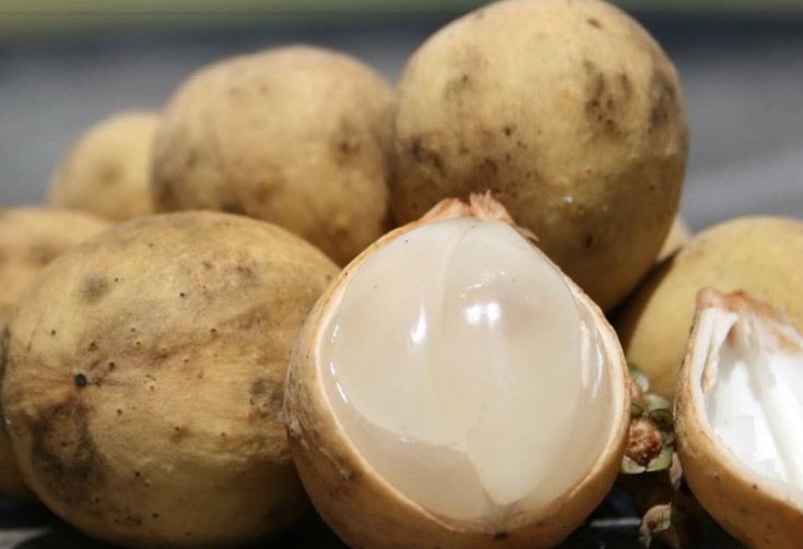 &#x102;n qu&#x1EA3; b&#xF2;n bon kh&#xF4;ng &#x111;&#xFA;ng c&#xE1;ch: &#x1EA8;n h&#x1ECD;a kh&#xF4;n l&#x1B0;&#x1EDD;ng