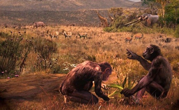 Hóa thạch 8,7 triệu năm tuổi có thể thay đổi lịch sử nguồn gốc con người