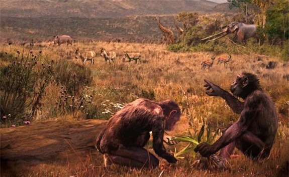 Hóa thạch 8,7 triệu năm tuổi có thể thay đổi lịch sử nguồn gốc con người ảnh 1