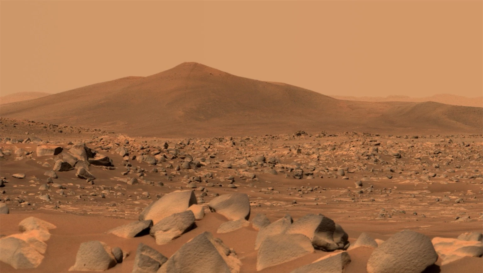 Phát hiện sự sống trên sao Hỏa nhưng NASA đã tiêu hủy mọi bằng chứng? - Ảnh 4.