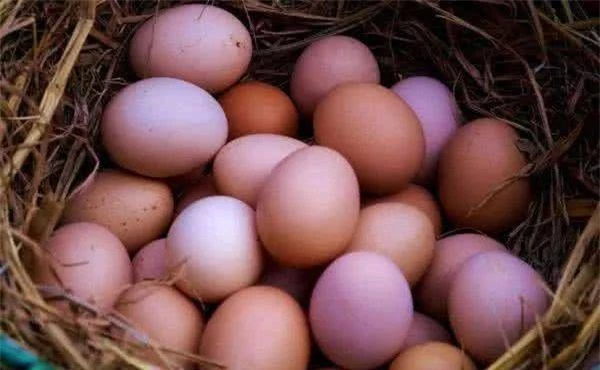 Từ Hi Thái hậu mỗi ngày ăn 20 quả trứng nhưng đầu bếp phải chuẩn bị 500 quả, vì sao? - Ảnh 4.