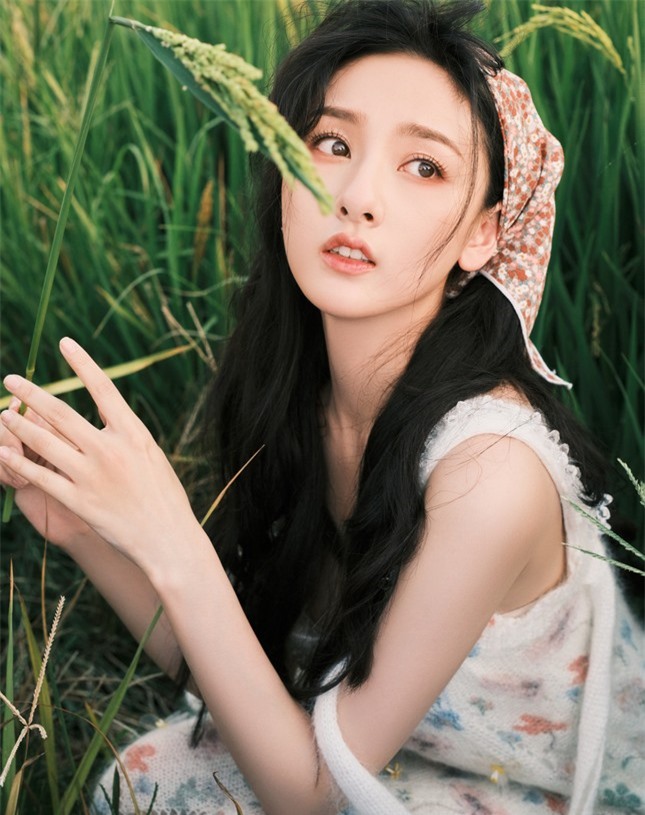 Nữ diễn viên bị tố lập công ty ma, trốn thuế ảnh 3