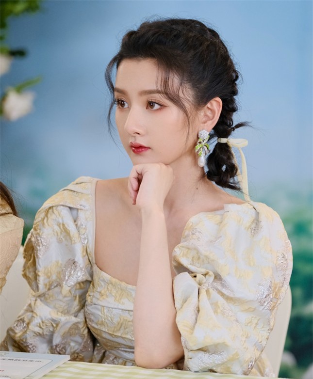 Nữ diễn viên bị tố lập công ty ma, trốn thuế ảnh 4