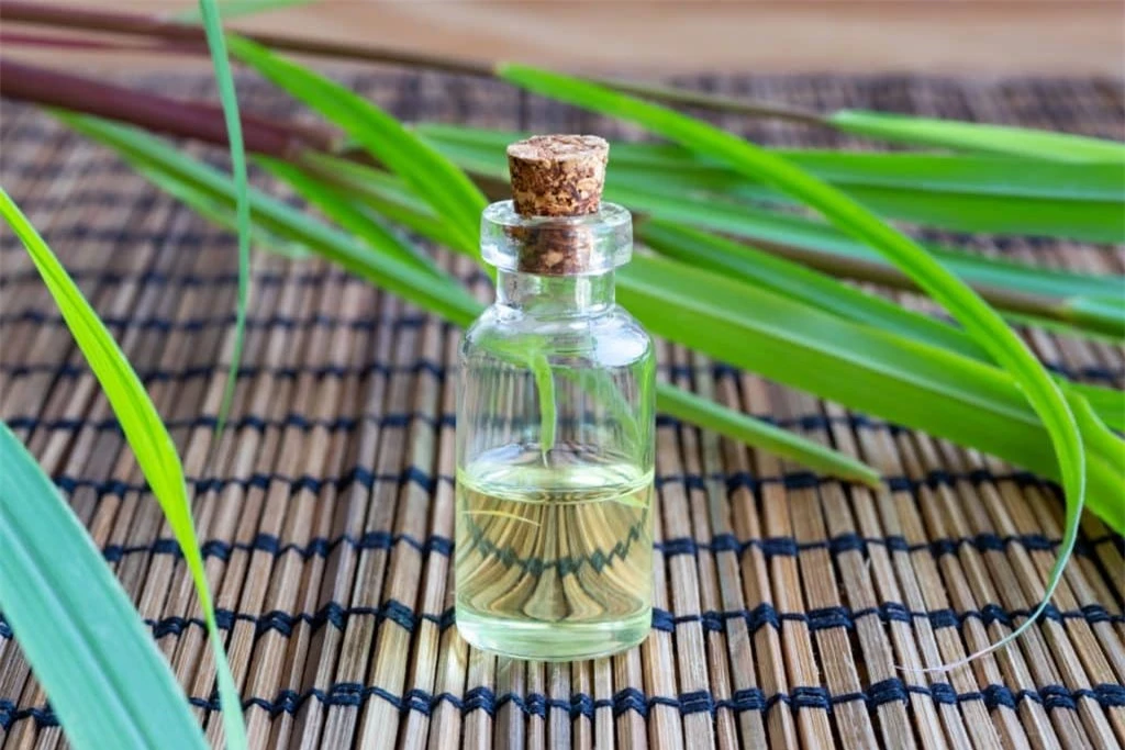 8 loại tinh dầu giúp đuổi muỗi tự nhiên cực đơn giản, dễ làm - Ảnh 6.