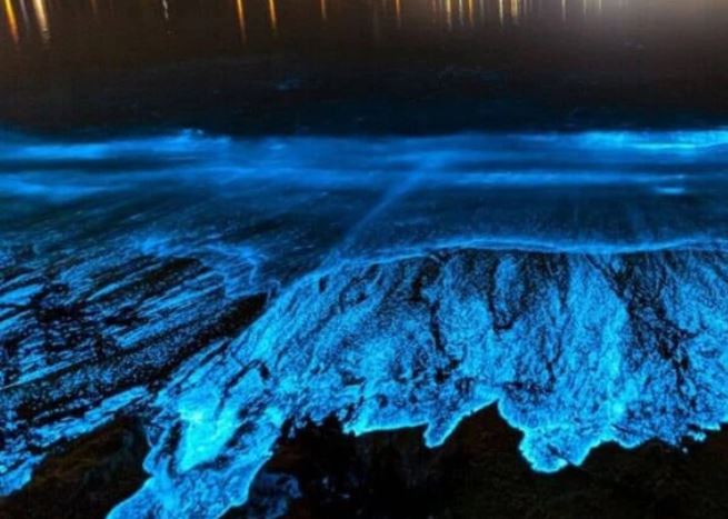 Bí ẩn về hiện tượng biển sao của Maldives