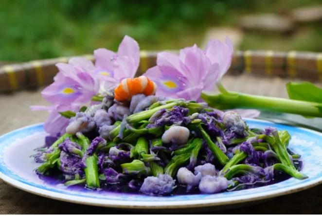 Loại cây người Việt thường vứt bỏ hóa ra lại là vị thuốc quý, món ăn ngon tại nhiều nước