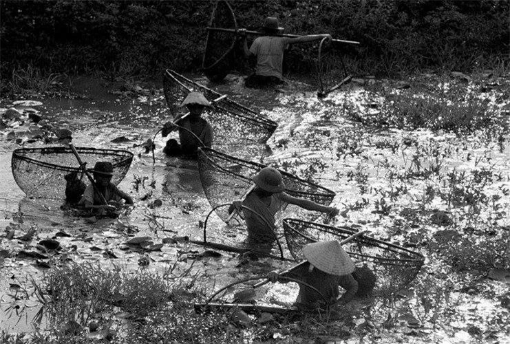 Người dân đánh giậm ở vùng ven biển Hà Tĩnh. (Ảnh: Ferdinando Scianna/ Magnum Photos)