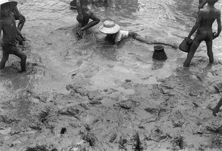 Trẻ em nông thôn mò cá ở một mương thủy lợi vừa rút cạn nước. (Ảnh: Ferdinando Scianna/ Magnum Photos)