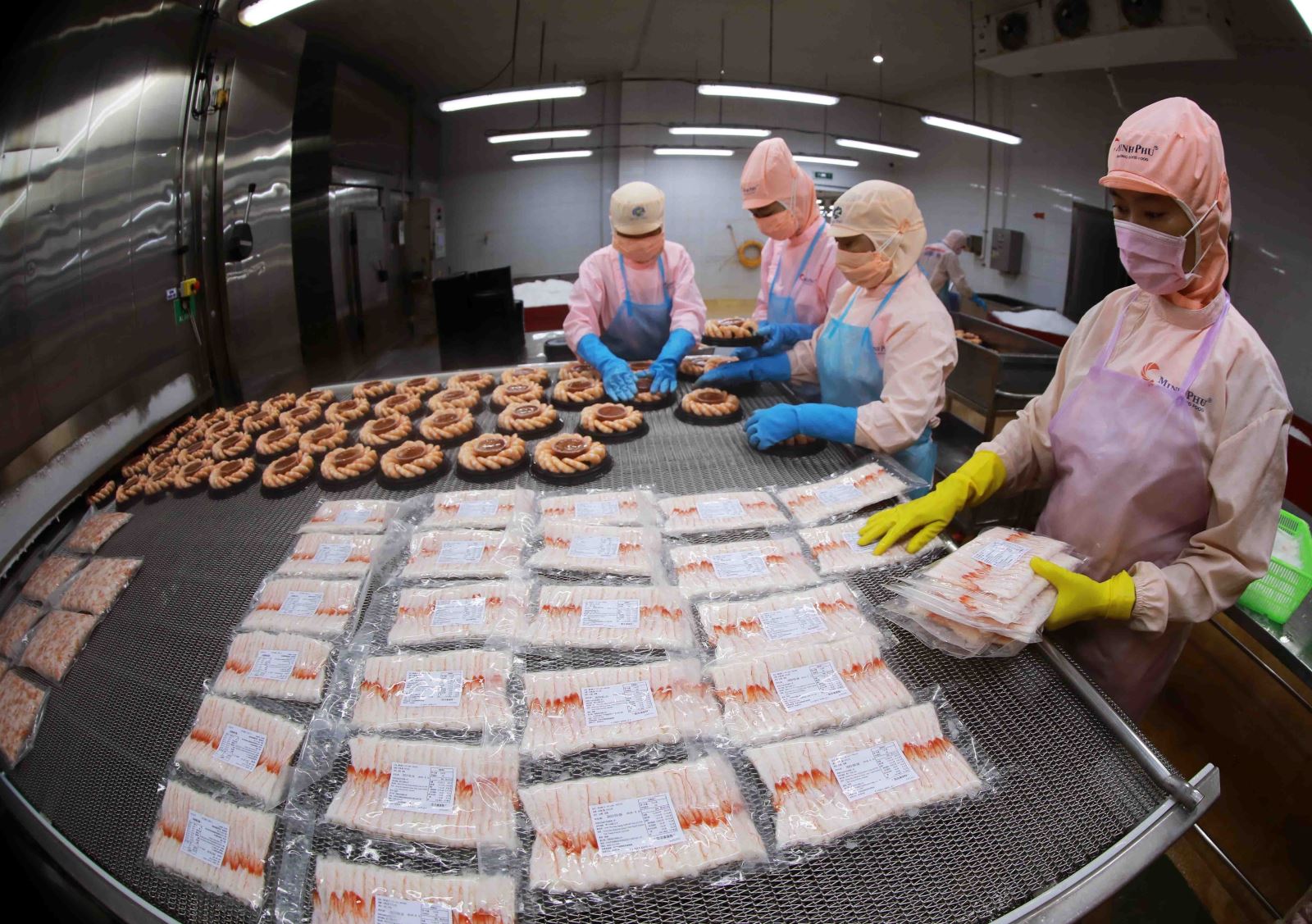 Doanh nghiệp xuất khẩu đứng trước nhiều thử thách