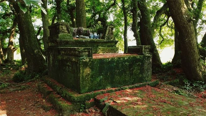 Bí ẩn mộ cổ giữa gò lộc vừng ngàn năm trấn giữ 