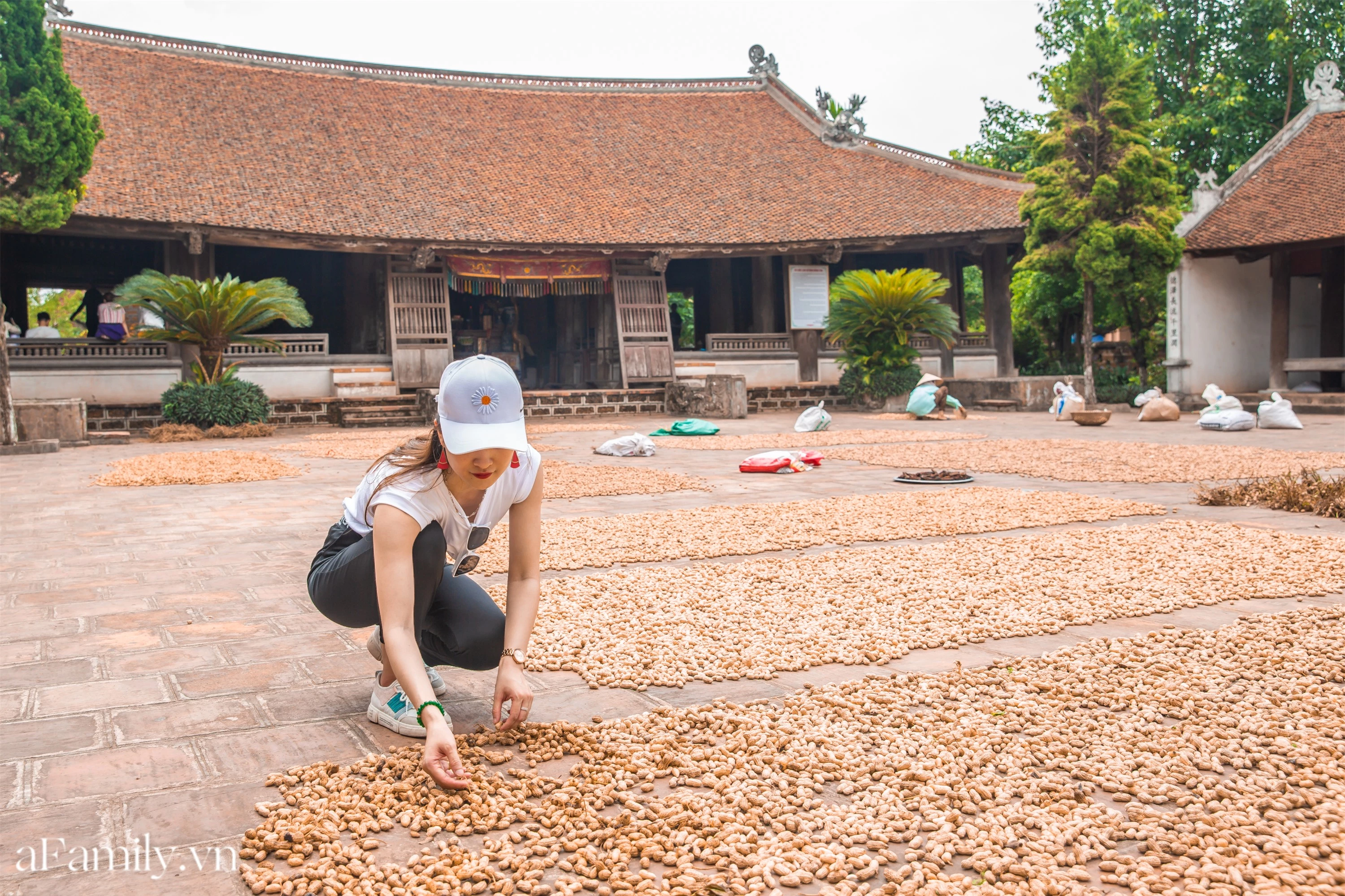 Ngoại thành Hà Nội có một 