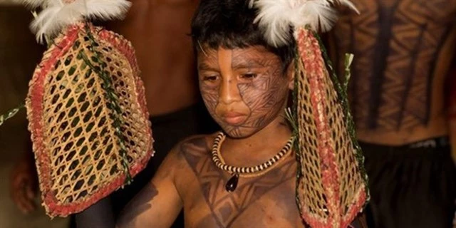 Một cậu bé đang đeo găng tay để kiến đốt theo phong tục của thuộc bộ tộc Satere Mawe. 