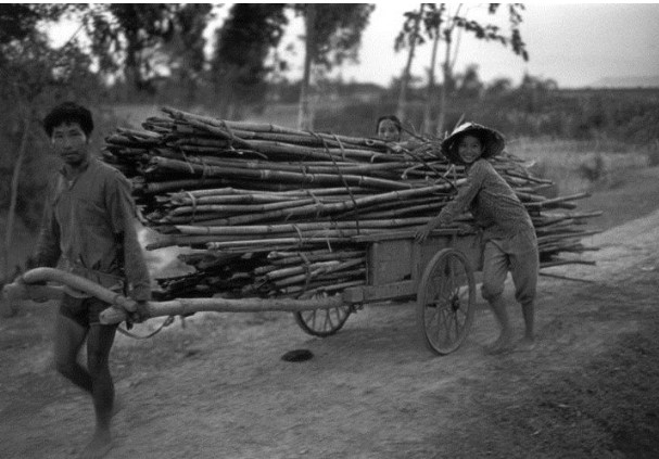 16 bức ảnh hiếm về cuộc sống nông thôn Việt Nam năm 1993 mà bạn không thể bỏ qua