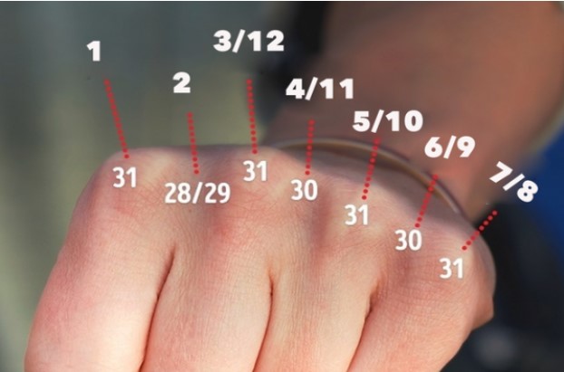 Những kiến thức thú vị trong cuộc sống bạn sẽ 'tiếc hùi hụi' nếu không biết sớm hơn