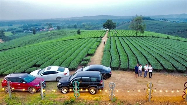 Đồi ch&egrave; Thanh Thủy d&ugrave; nh&igrave;n ở bất cứ g&oacute;c n&agrave;o cũng đẹp, v&agrave; c&oacute; lẽ khoảng c&aacute;ch để chi&ecirc;m ngưỡng vẻ đẹp huyền ảo của đồi ch&egrave; l&agrave; đứng nh&igrave;n từ ph&iacute;a xa, hoặc l&agrave; từ tr&ecirc;n cao nh&igrave;n xuống.