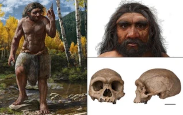 "Người rồng": Loài cổ đại khơi mào bí ẩn về nguồn gốc loài người!