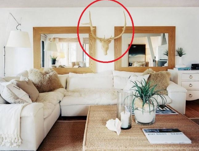 5 vật nhà giàu không bao giờ đặt trong phòng khách để tránh mất tài hao lộc