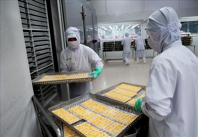 Doanh nghiệp e ngại ‘động vào đâu cũng sai'