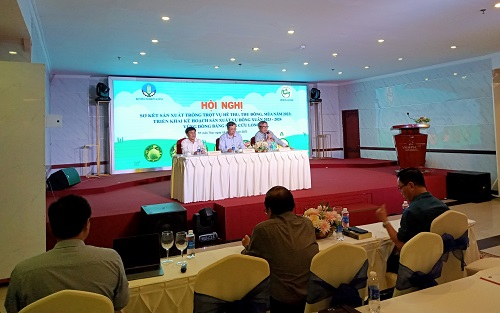 Bảo đảm lịch xuống giống vụ lúa Đông Xuân 2023 - 2024