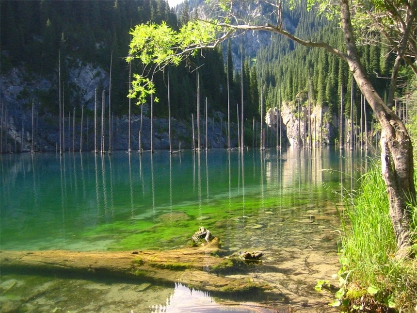 Hồ Chết: Hồ nước với tên gọi đáng sợ nhưng lại mang vẻ đẹp siêu thực khiến bạn không tin vào mắt mình - Ảnh 1.