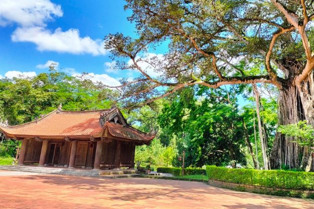 V&#x1EC1; v&#xF9;ng &#x111;&#x1EA5;t thi&#xEA;ng Lam Kinh nghe &quot;chuy&#x1EC7;n t&#xEC;nh&quot; c&#xE2;y &#x110;a - Th&#x1ECB; h&#x1A1;n 300 n&#x103;m tu&#x1ED5;i