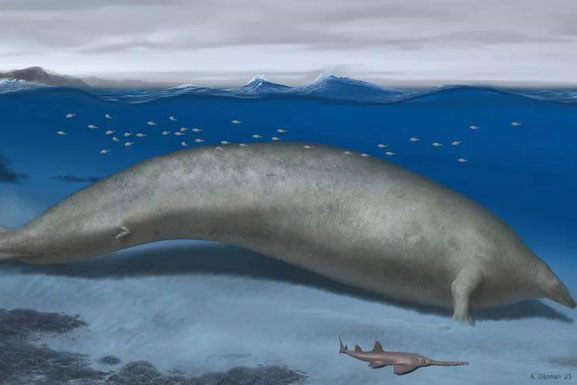 Lộ diện quái vật 340 tấn ở Peru, con cháu còn sống