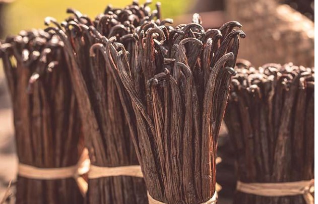 Việt Nam trồng thành công “siêu” hương liệu cho nhiều món ăn, giá bán lên tới 20 triệu đồng/kg