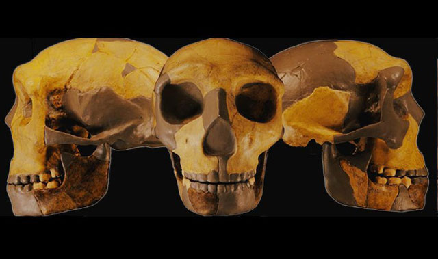 Lộ diện loài người hoàn toàn mới ở An Huy - Trung Quốc