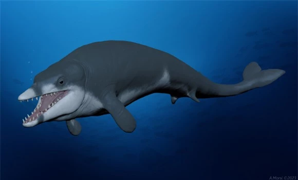Cá voi quái vật hiện hình giữa sa mạc Ai Cập, mang tên pharaoh - Ảnh 1.