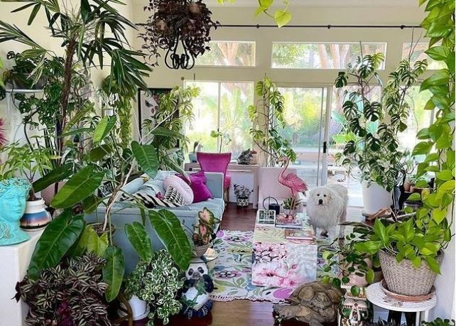 Có 3 loại cây nhà giàu chẳng bao giờ động đến, cố chấp chưng chỉ hao tài tốn của rước vận xui