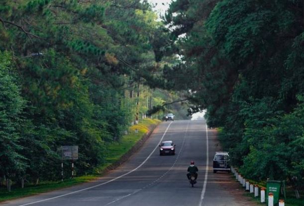 Mê đắm con đường thông xanh siêu đẹp ở nơi được ví là "Đà Lạt thứ hai" của Việt Nam