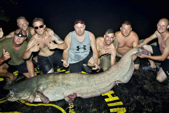 Bắt được cá trê khổng lồ ở Tây Ban Nha