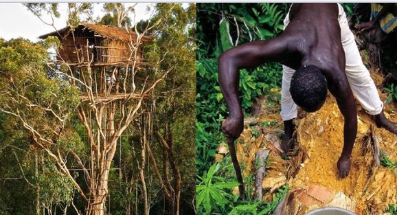 Bộ tộc man dã duy nhất không 'an cư' trên mặt đất, xây nhà trên cao vì lý do đặc biệt