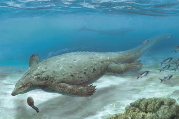 Khai th&#xE1;c &#x111;&#xE1;, l&#x1ED9; ra qu&#xE1;i v&#x1EAD;t ch&#x1B0;a t&#x1EEB;ng th&#x1EA5;y tr&#xEA;n th&#x1EBF; gi&#x1EDB;i