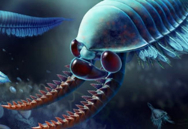 Phát hiện sinh vật bí ẩn có 3 mắt, 10 chân sống ở Trung Quốc cách đây hơn 500 triệu năm trước