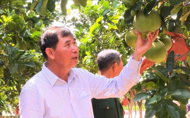 Khơi dậy tiềm năng sáng tạo của nông dân, vững tin hội nhập