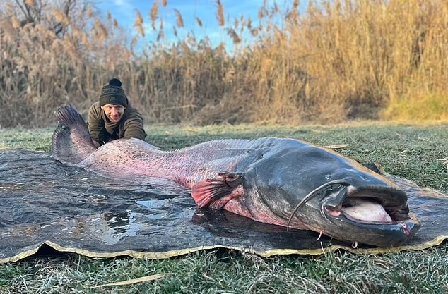 Đi câu cá chép, không ngờ bắt được “thủy quái” da trơn khổng lồ nặng hơn 100kg