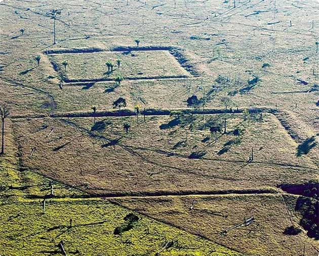 Các bản quét tại lưu vực phía Tây Nam Amazon đã phát hiện ra hàng trăm km kênh đào, thâm chí có cả 'kim tự tháp' cao hơn 21m, đặc biệt là 26 khu định cư riêng lẻ, với 2 trong số đó có diện tích trên 100ha, tương đương 330 sân bóng đá.
