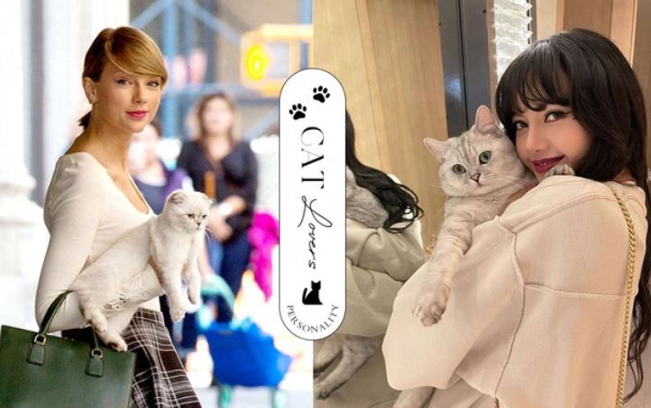 Nghiên cứu tâm lý: Người "nghiện" mèo thường có 4điều thú vị, càng ngẫm càng thấy chuẩn