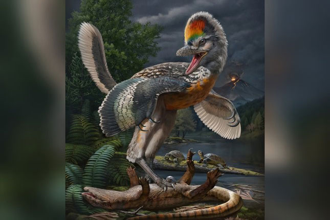 Phát hiện 'thần điểu' giống khủng long bạo chúa T-rex