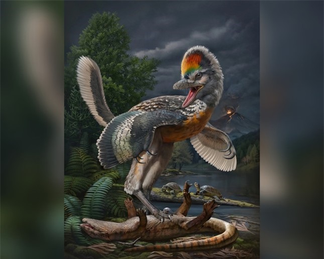 Phát hiện “thần điểu giống khủng long bạo chúa T-rex - Ảnh 1. Phát hiện 'thần điểu' giống khủng long bạo chúa T-rex ảnh 1